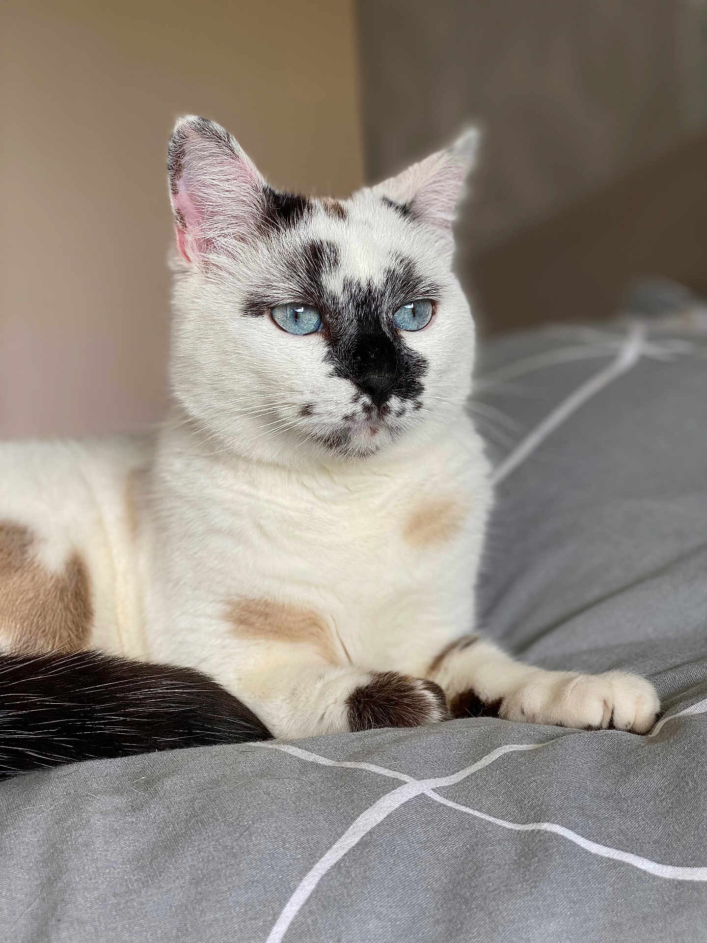 Léna