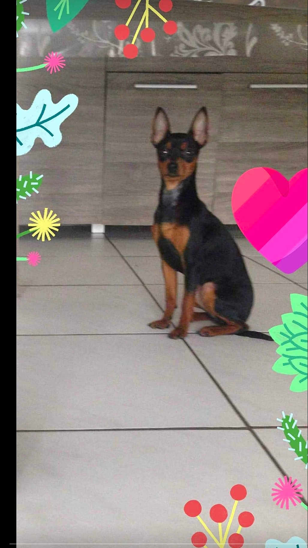 Lili