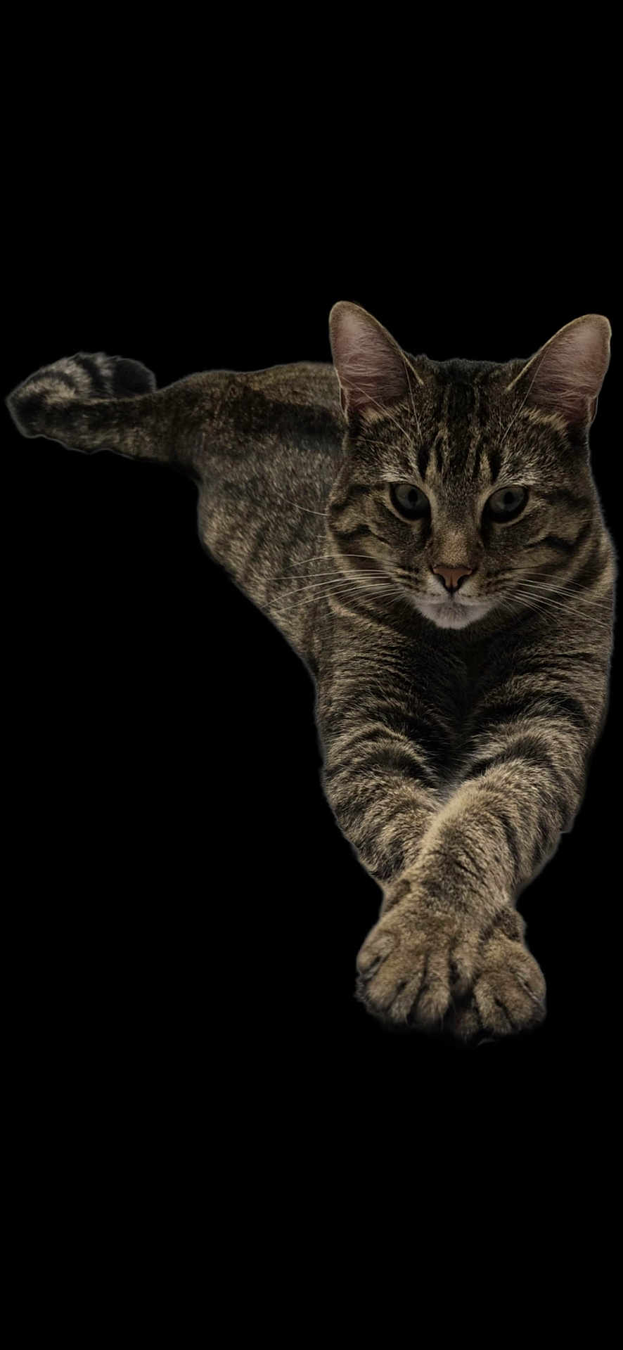 Stretch