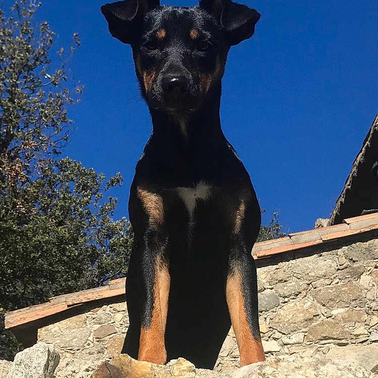 Raïka