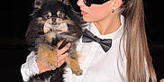 Timba a rejoint le concours — aidez-le/la à gagner de superbes lots ! person, dog, pomeranian, bow_tie, white_shirt, black_bow_tie, sunglasses, pony_tail, night, portrait, fashion, pet, holding, cute, fluffy, black, tan, outdoor, stylish, accessory