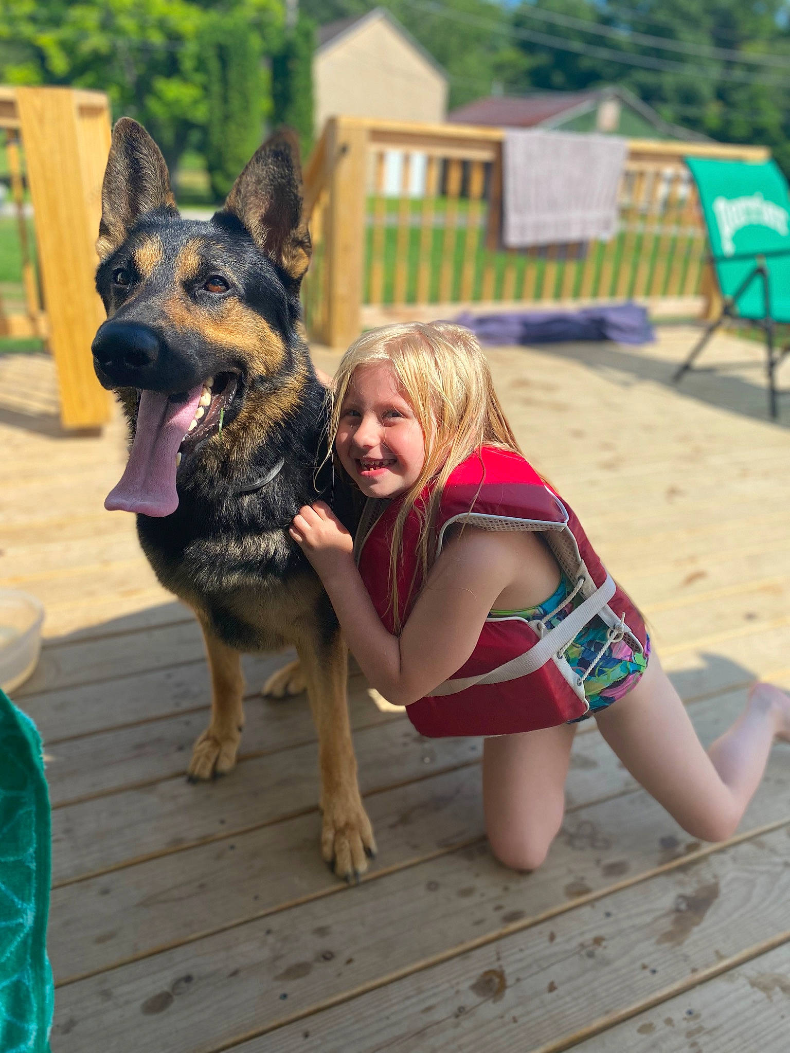 Chunk joined the competition — help win amazing prizes! canidae, carnivore, companion_dog, dog, dog_breed, east_european_shepherd, fawn, fun, german_shepherd_dog, happy, herding_dog, human_leg, king_shepherd, leisure, plant, recreation, smile, thigh, tree, wood