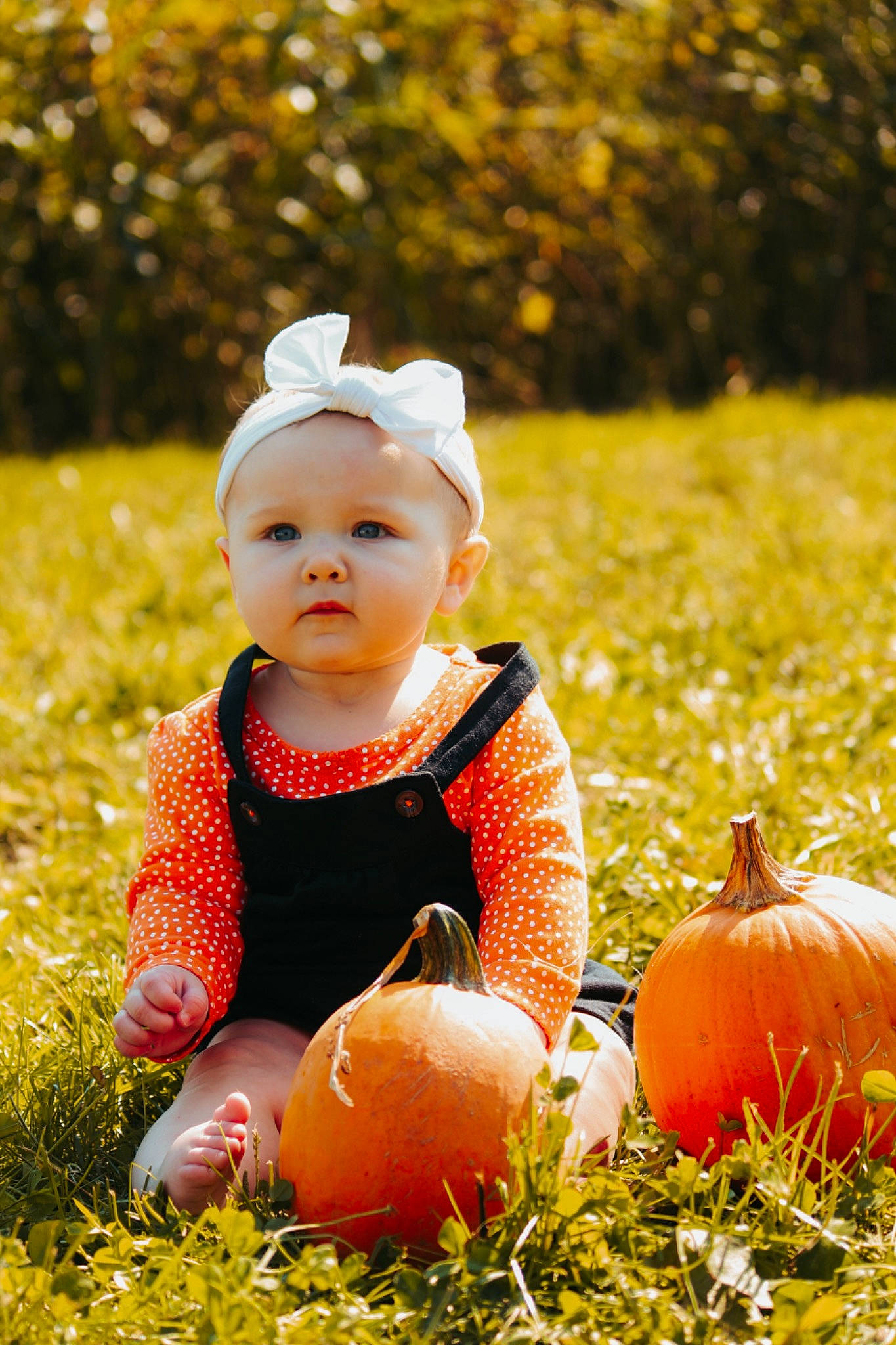 Leona is registered to the contest to win money with this photo: baby, baby_toddler_clothing, calabaza, facial_expression, grass, happy, head, headwear, leaf, natural_foods, orange, people_in_nature, person, photograph, plant, playing_with_kids, pumpkin, smile, squash, sunlight