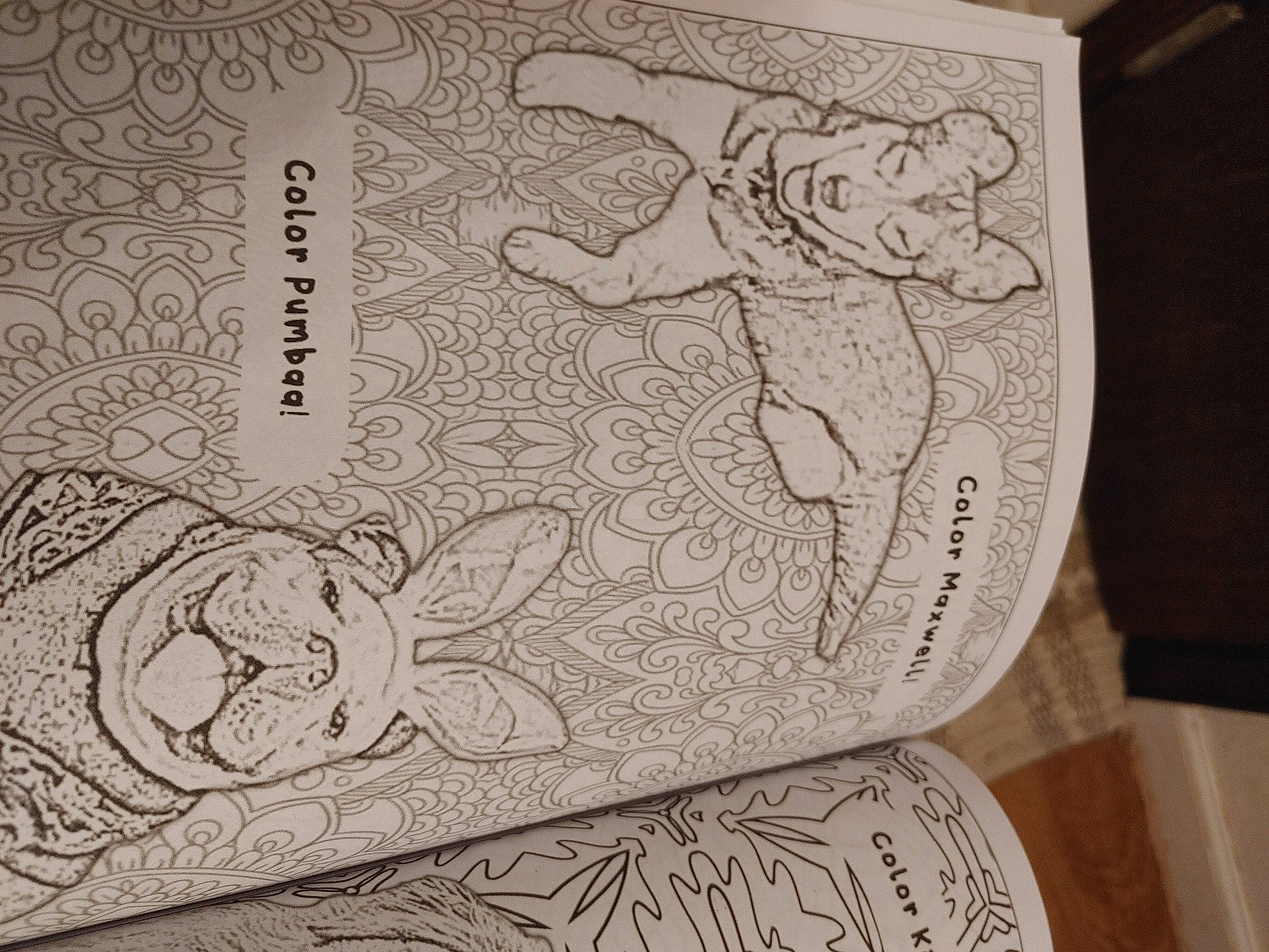 Maxwell is registered to the contest to win money with this photo: art, book, circle, drawing, fictional_character, font, history, illustration, ink, line_art, monochrome, mythology, paper, paper_product, pattern, printmaking, publication, relief, sketch, visual_arts