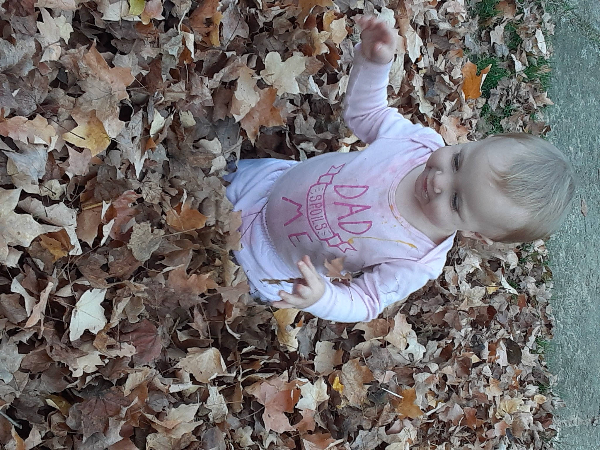 Jazmine joined the competition — help win amazing prizes! autumn, child, leaf, person, pink, plant, tree