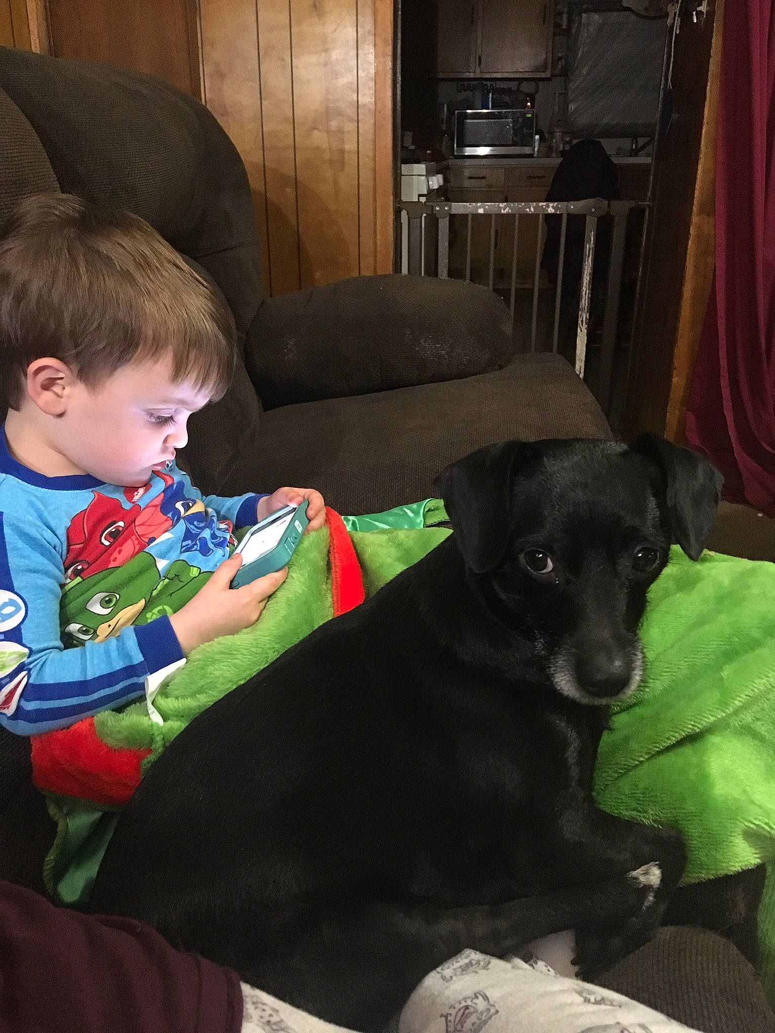 Mack is registered to the contest to win money with this photo: baby_toddler_clothing, carnivore, child, comfort, companion_dog, couch, curtain, dog, dog_breed, fur, holiday, lamp, lap, living_room, picture_frame, room, sitting, sporting_group, toddler, working_animal