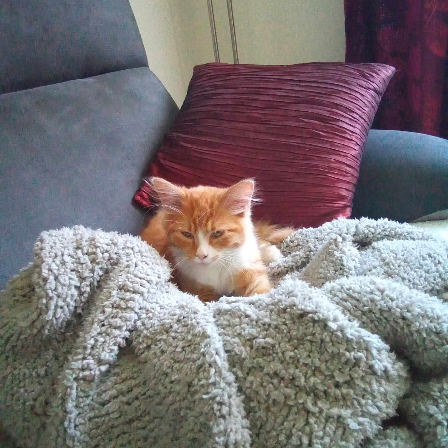 Simba