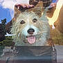 Angoune participe au concours pour gagner de l'argent avec cette photo :