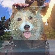 Angoune participe au concours pour gagner de l'argent avec cette photo :