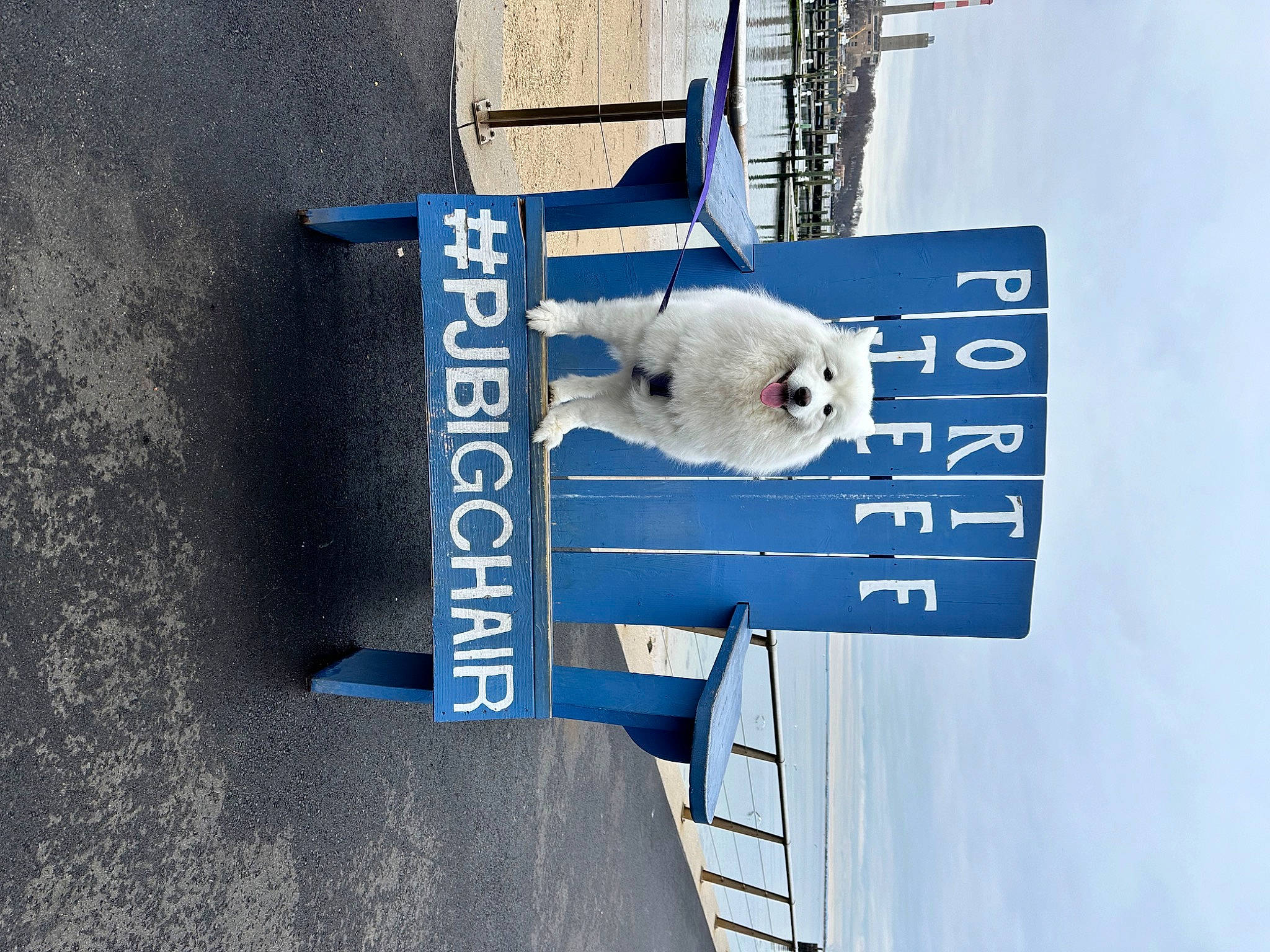 Princess is registered to the contest to win money with this photo: advertising, azure, bear, cloud, electric_blue, font, gas, polar_bear, sign, signage, sky, snout, water, winter