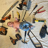 Stan a rejoint le concours — aidez-le/la à gagner de superbes lots ! baby, shirtless, tools, chainsaw, hammer, pliers, gloves, wrench, screwdriver, utility_knife, drill, level_tool, carpentry_tools, jeans, indoor, floor, work_tools, equipment, person, child