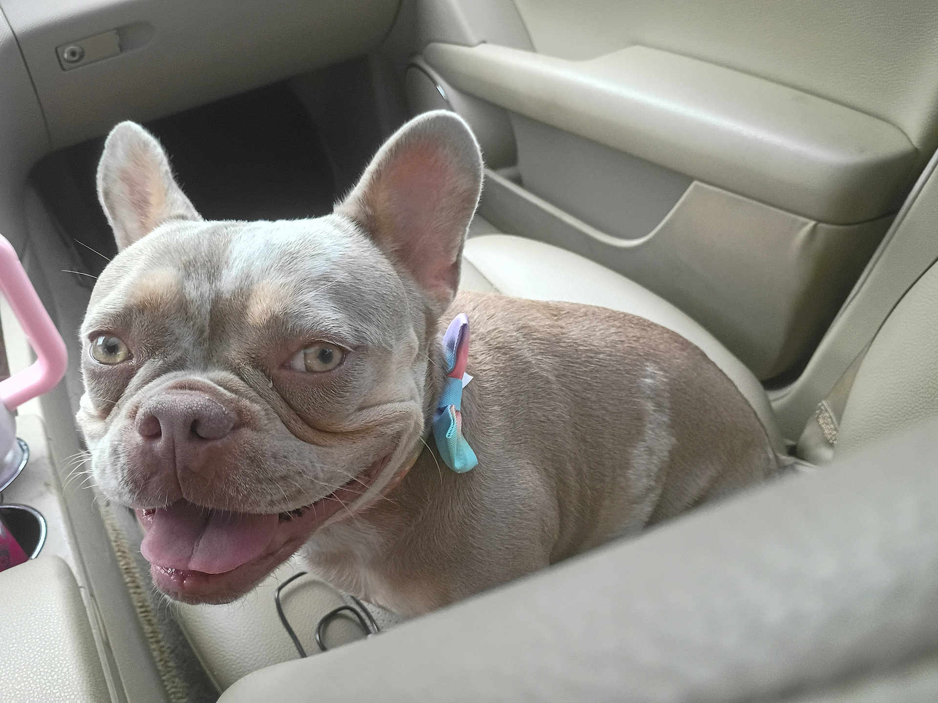 Chloe Jane