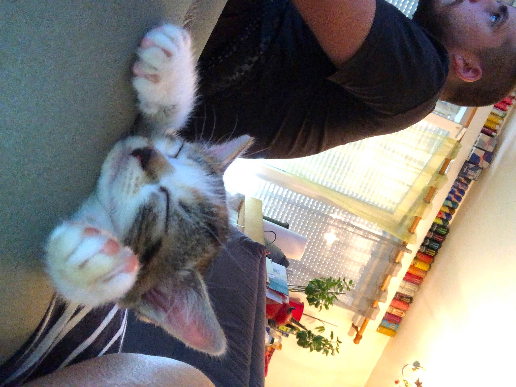 Skoll a rejoint le concours — aidez-le/la à gagner de superbes lots ! companion_dog, cool, domestic_short_haired_cat, eyewear, fawn, felidae, finger, fun, fur, fur_clothing, gesture, human_leg, nail, plant, selfie, small_to_medium_sized_cats, tail, textile, toy, whiskers