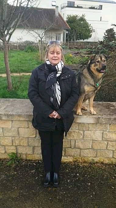 Goulu a rejoint le concours — aidez-le/la à gagner de superbes lots ! canidae, carnivore, companion_dog, czechoslovakian_wolfdog, dog, dog_breed, east_european_shepherd, german_shepherd_dog, jacket, king_shepherd, kunming_wolfdog, outerwear, police_dog, wolfdog