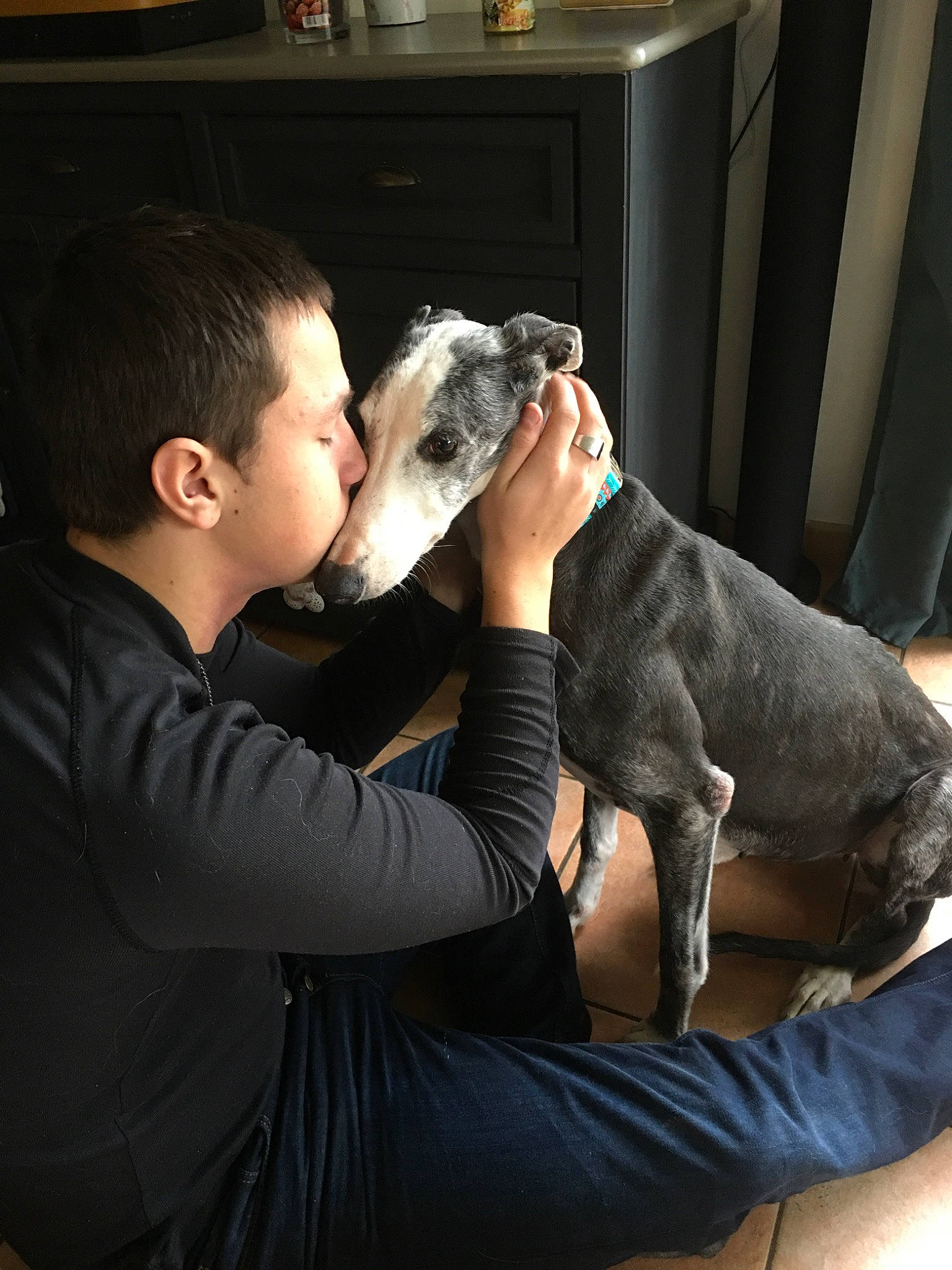 Gloria participe au concours pour gagner de l'argent avec cette photo : cane_corso, canidae, carnivore, companion_dog, dog, dog_breed, great_dane, guard_dog, non_sporting_group, puppy_love, sporting_group