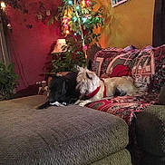 Molly is registered to the contest to win money with this photo: