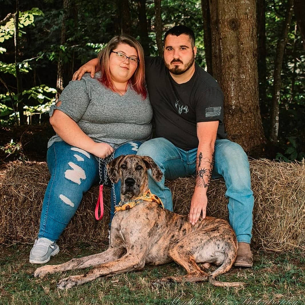 Dixi is registered to the contest to win money with this photo: canidae, carnivore, companion_dog, dog, dog_breed, event, fawn, forest, fun, grass, lap, leg, leisure, plant, sitting, soil, sporting_group, thigh, tree, wildlife