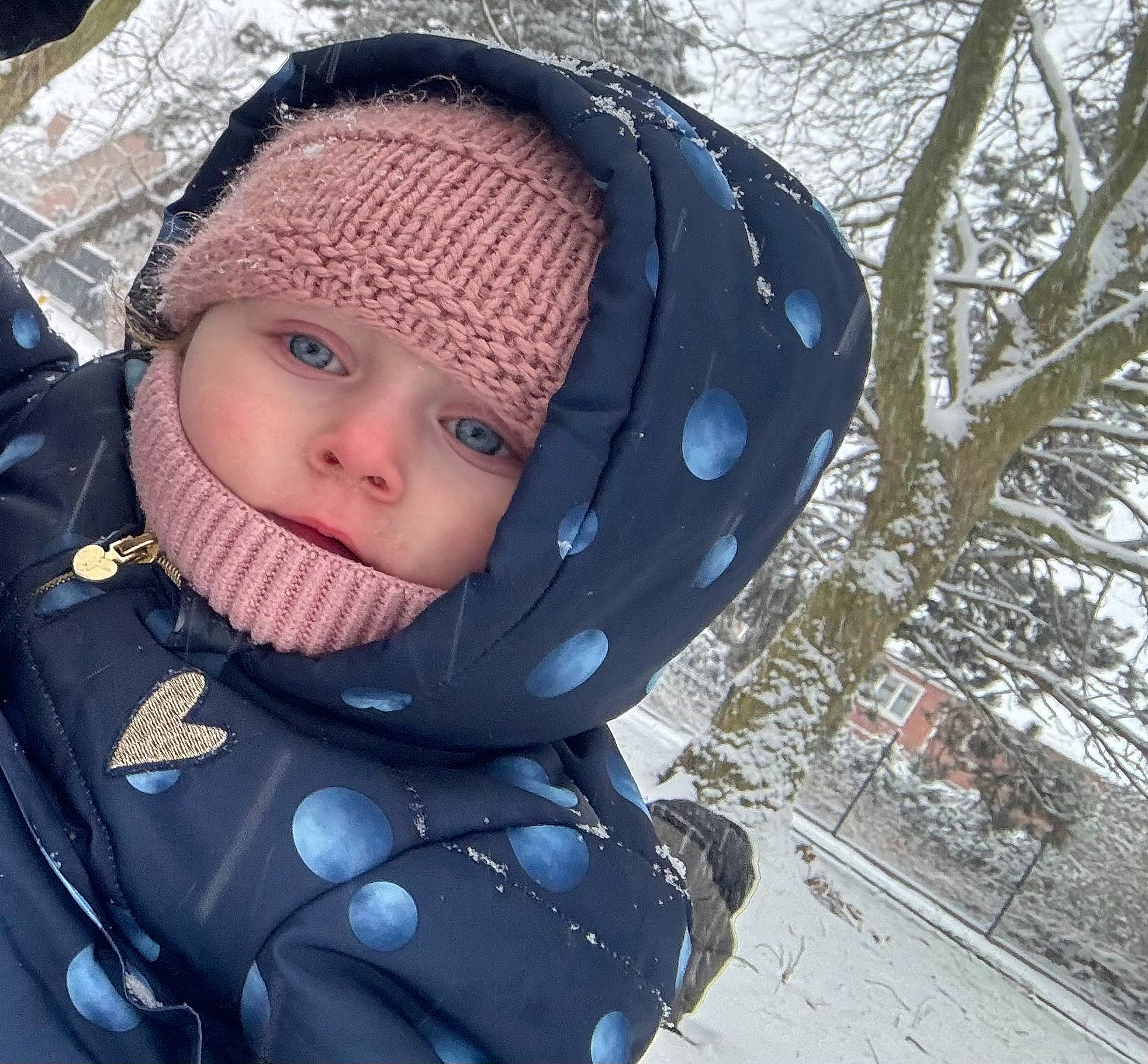 Lisa participe au concours pour gagner de l'argent avec cette photo : baby, baby_carriage, baby_products, baby_toddler_clothing, cap, electric_blue, eye, face, freezing, happy, head, headwear, human_body, jacket, knit_cap, person, personal_protective_equipment, recreation, snow, toddler