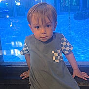 Jackson is registered to the contest to win money with this photo: toddler, child, boy, portrait, blue_background, aquarium, indoor, casual_clothing, short_hair, curious_expression, sitting, checkered_pattern, hand, face, young_child, cute, person, window_reflection, lighting, casual