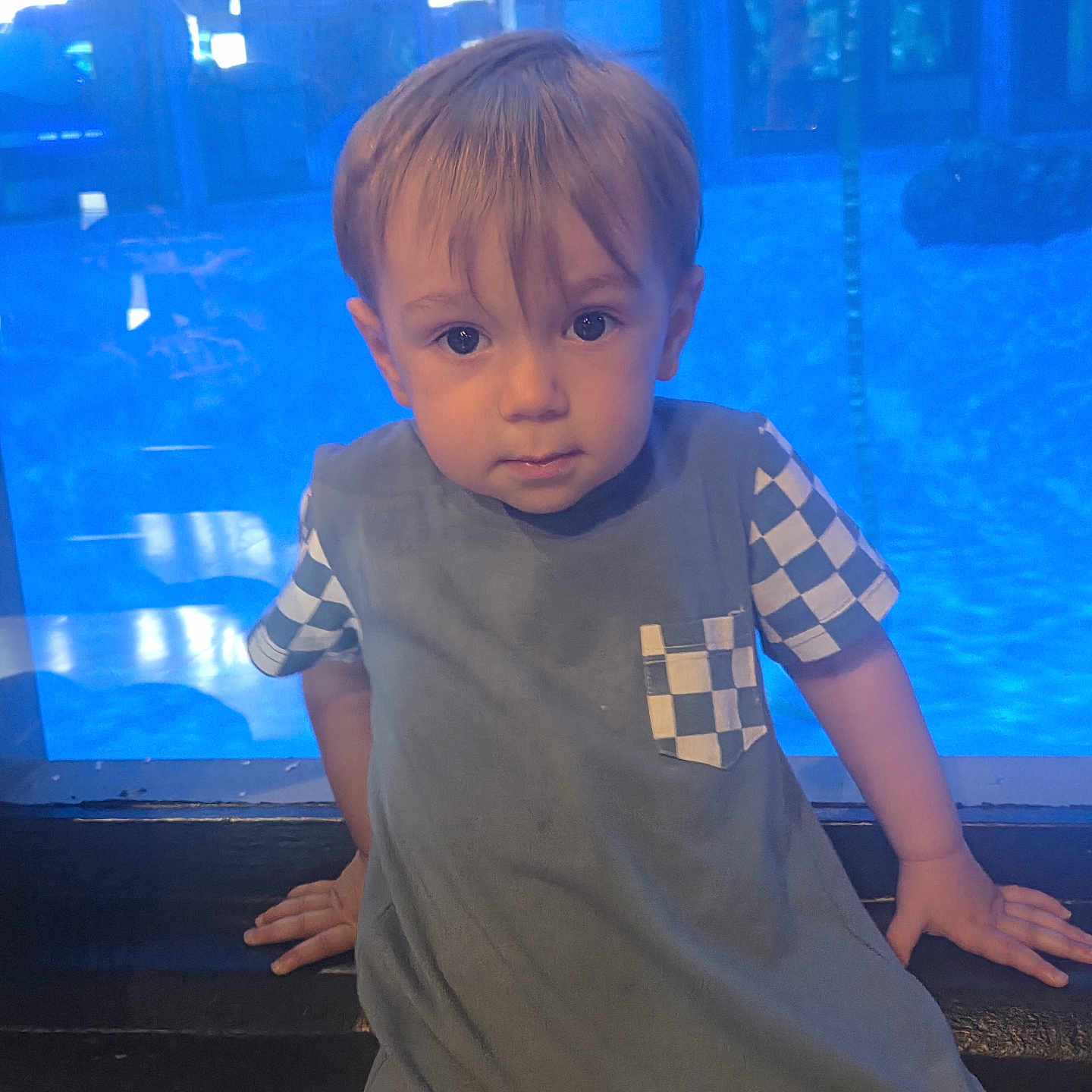Jackson is registered to the contest to win money with this photo: toddler, child, boy, portrait, blue_background, aquarium, indoor, casual_clothing, short_hair, curious_expression, sitting, checkered_pattern, hand, face, young_child, cute, person, window_reflection, lighting, casual