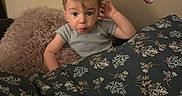 Jackson is registered to the contest to win money with this photo: toddler, child, blanket, pillow, striped_shirt, indoor, wall_mural, giraffe, elephant, tiger, zebra, animal_art, curious, bedroom, floral_pattern, cute, portrait, young_child, cozy, playful