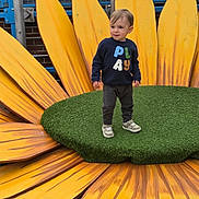 Jackson is registered to the contest to win money with this photo: toddler, child, playground, sunflower, yellow_petals, green_center, grass, sweater, shoes, outdoor, fence, play, person, toy, fun, smile, young_child, cute, wood, daylight