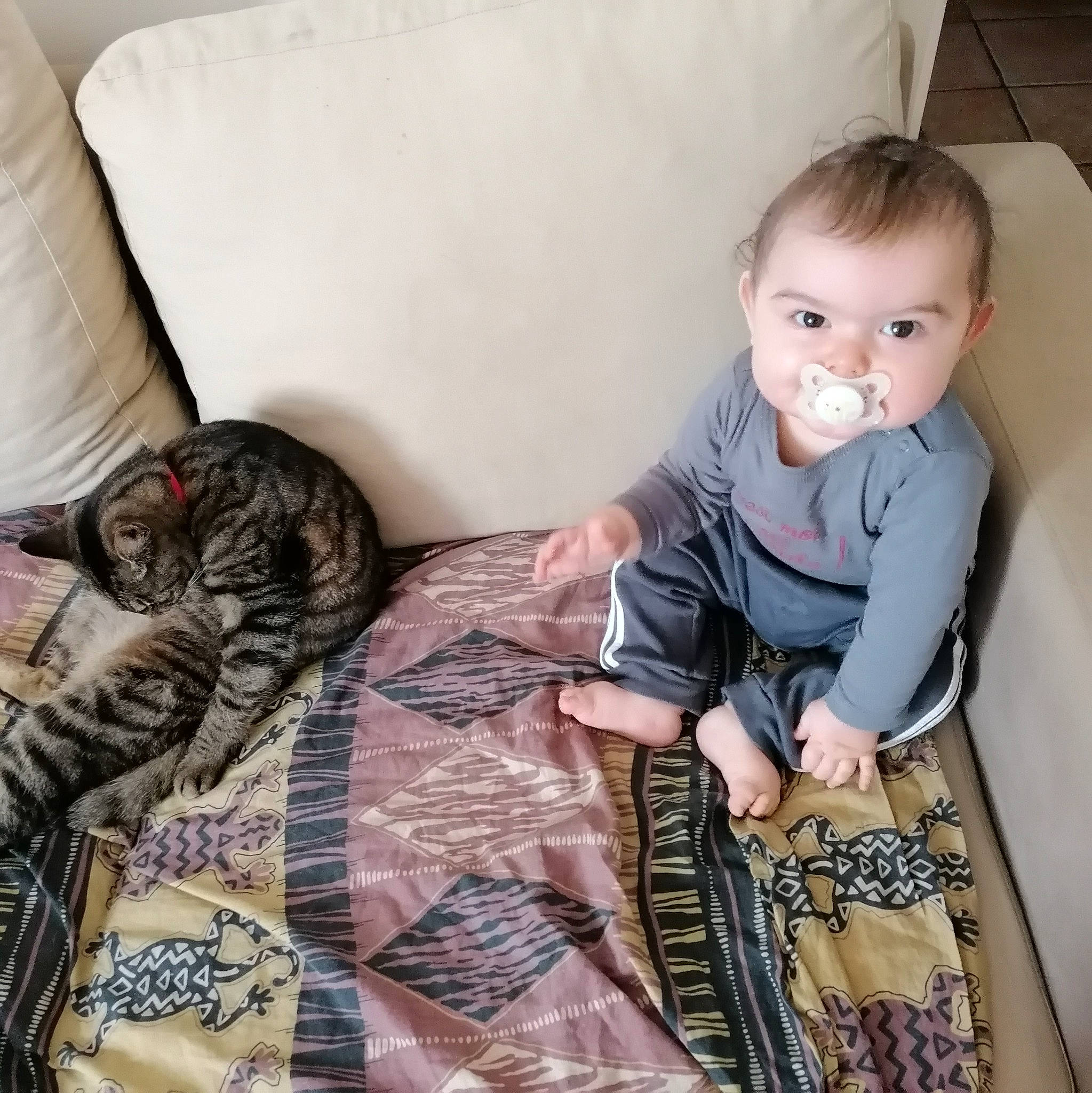 Timael a rejoint le concours — aidez-le/la à gagner de superbes lots ! baby, baby_toddler_clothing, carnivore, cat, comfort, couch, eye, felidae, flooring, leg, linens, military_camouflage, pattern, person, product, skin, sleeve, small_to_medium_sized_cats, toddler, whiskers