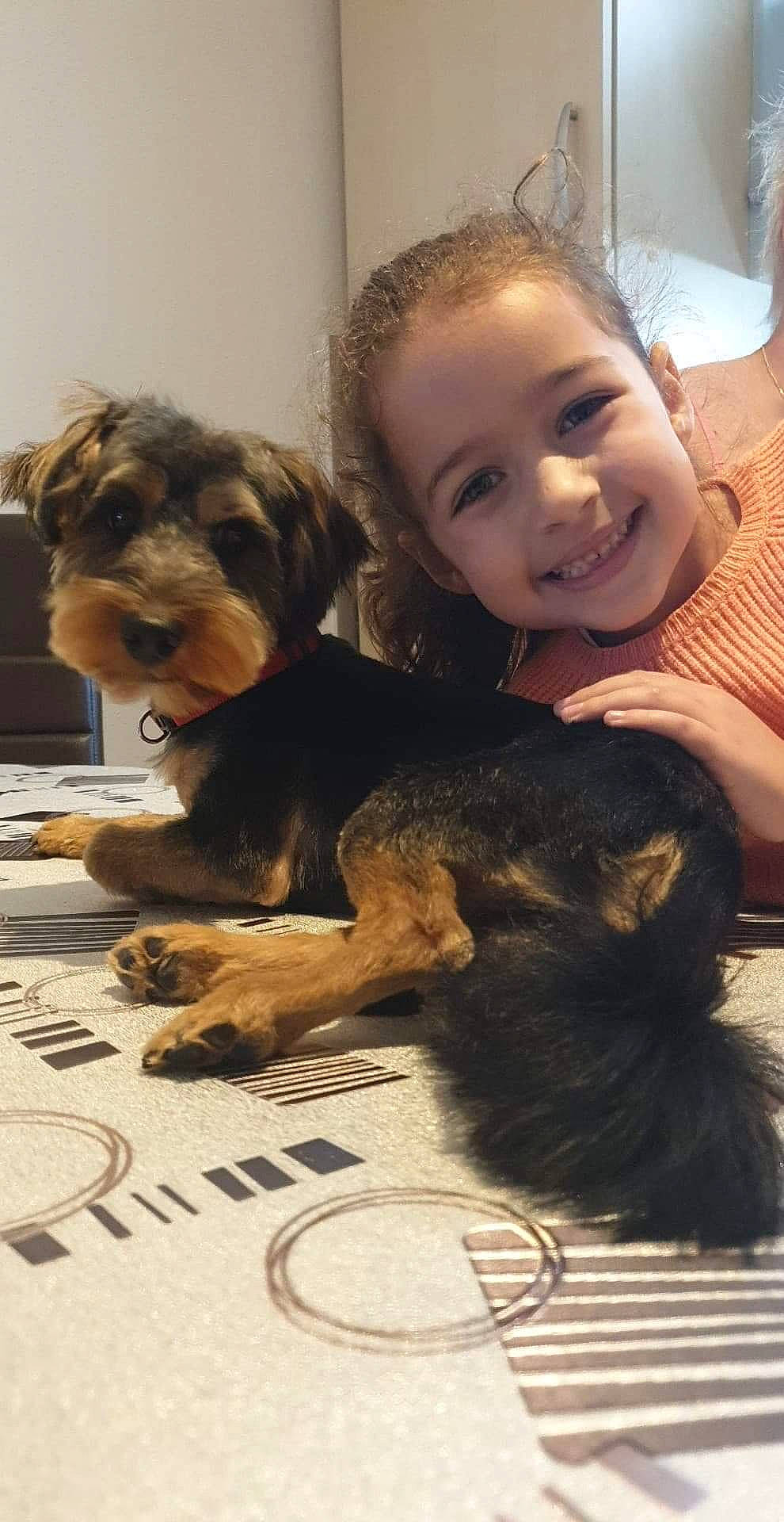Sheila participe au concours pour gagner de l'argent avec cette photo : airedale_terrier, bolonka, border_terrier, canidae, carnivore, companion_dog, dog, dog_breed, joy, mammal, morkie, person, puppy, puppy_love, schnoodle, small_terrier, terrier, toy_dog, vertebrate, yorkipoo