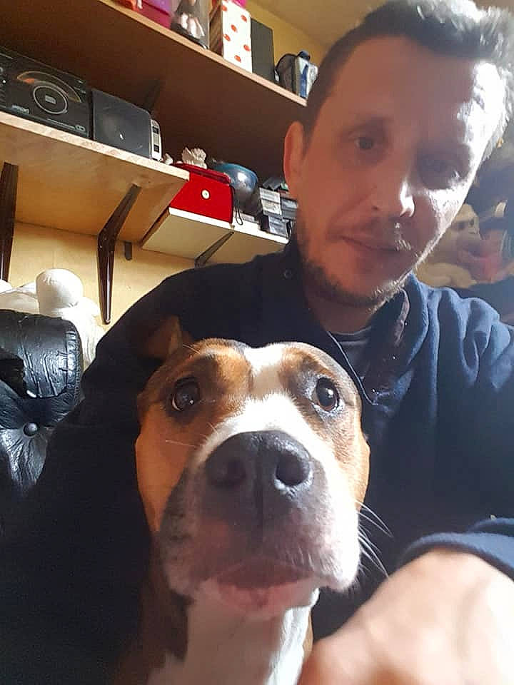 Baika participe au concours pour gagner de l'argent avec cette photo : american_pit_bull_terrier, american_staffordshire_terrier, boston_terrier, carnivoran, dog, dog_breed, dog_breed_group, dog_like_mammal, ear, person, pit_bull, snout