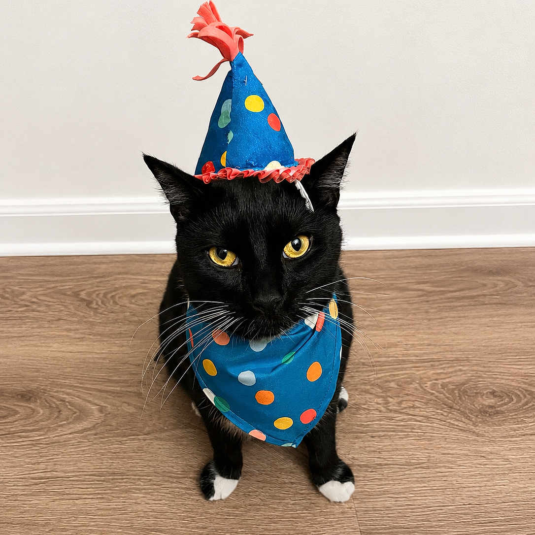 Tux