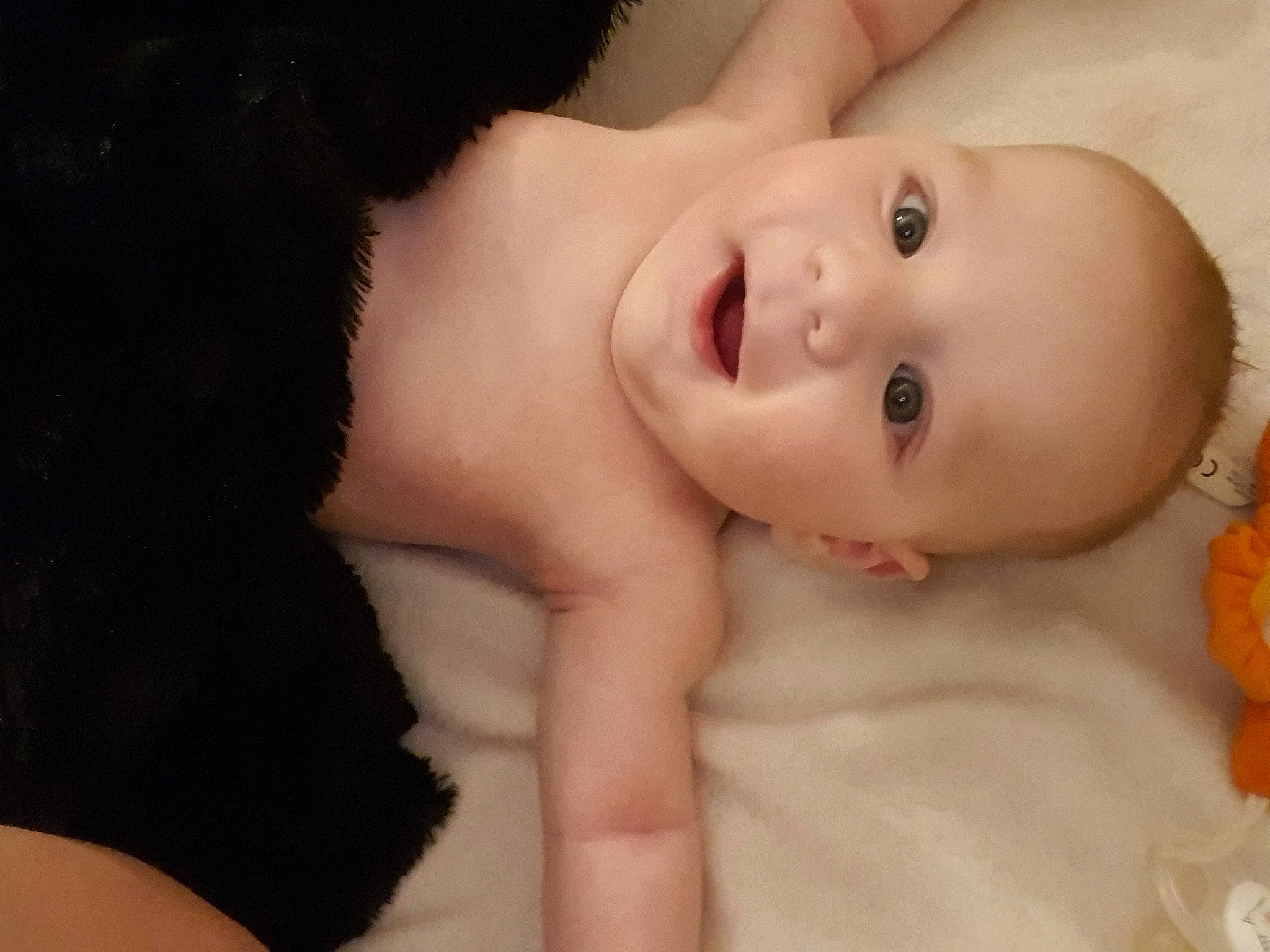 Joseph Alexandre a rejoint le concours — aidez-le/la à gagner de superbes lots ! baby, baby_toddler_clothing, cheek, chin, comfort, eye, eyebrow, eyelash, flash_photography, fur, gesture, happy, iris, lip, neck, nose, person, skin, smile, toddler