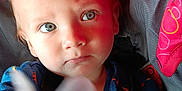 Robert is registered to the contest to win money with this photo: baby, child, pacifier, blue_eyes, stroller, red_background, gray_straps, closeup, infant, curious_expression, holding_object, face, young_child, clothing, seatbelt, indoors, portrait, head, skin, person