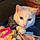 Mitty