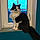 Tom