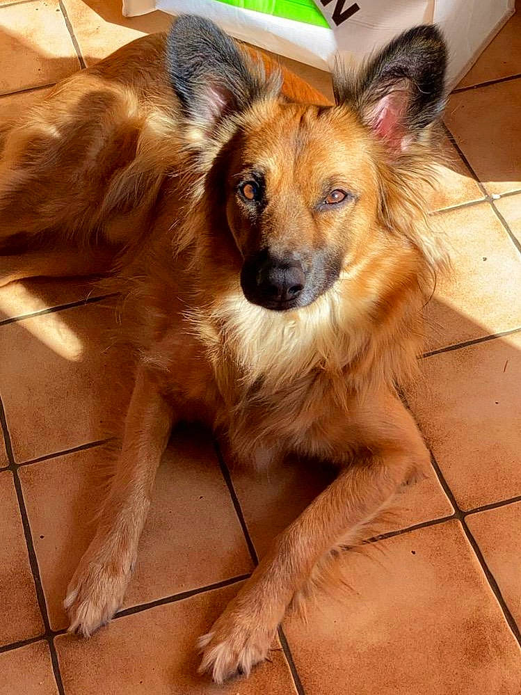 Sam
