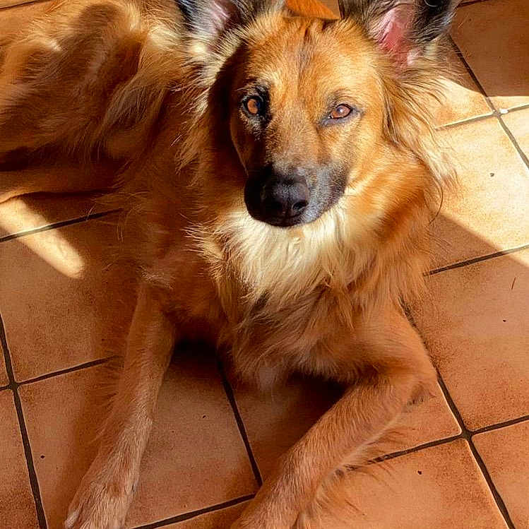 Sam