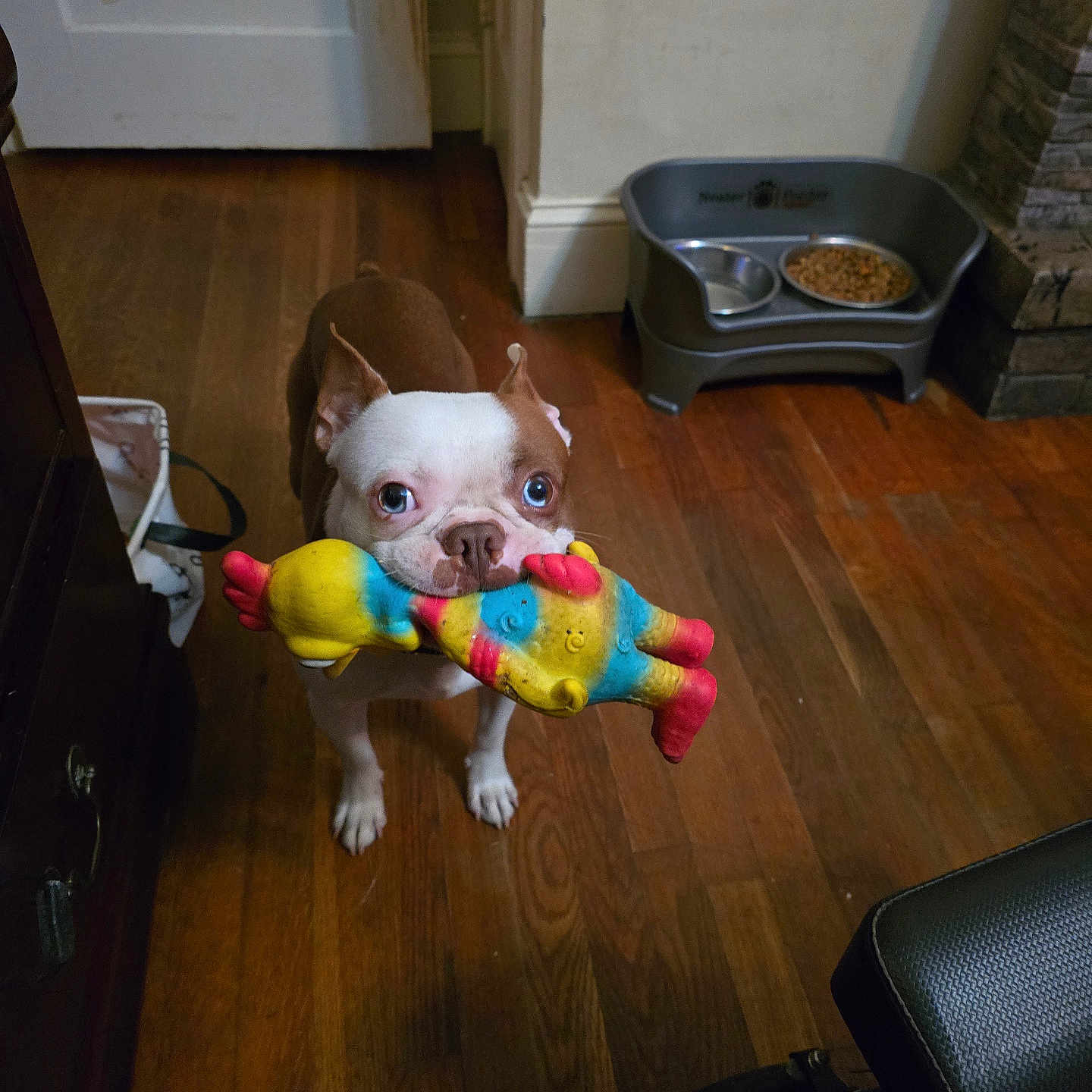 Remi