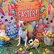 Remi joined the competition — help win amazing prizes! dog, rabbit, easter_eggs, basket, holiday, celebration, colorful, decorations, festive, spring, grass, cute, animal, pet, background, sign, illustration, balloons, flowers, playful
