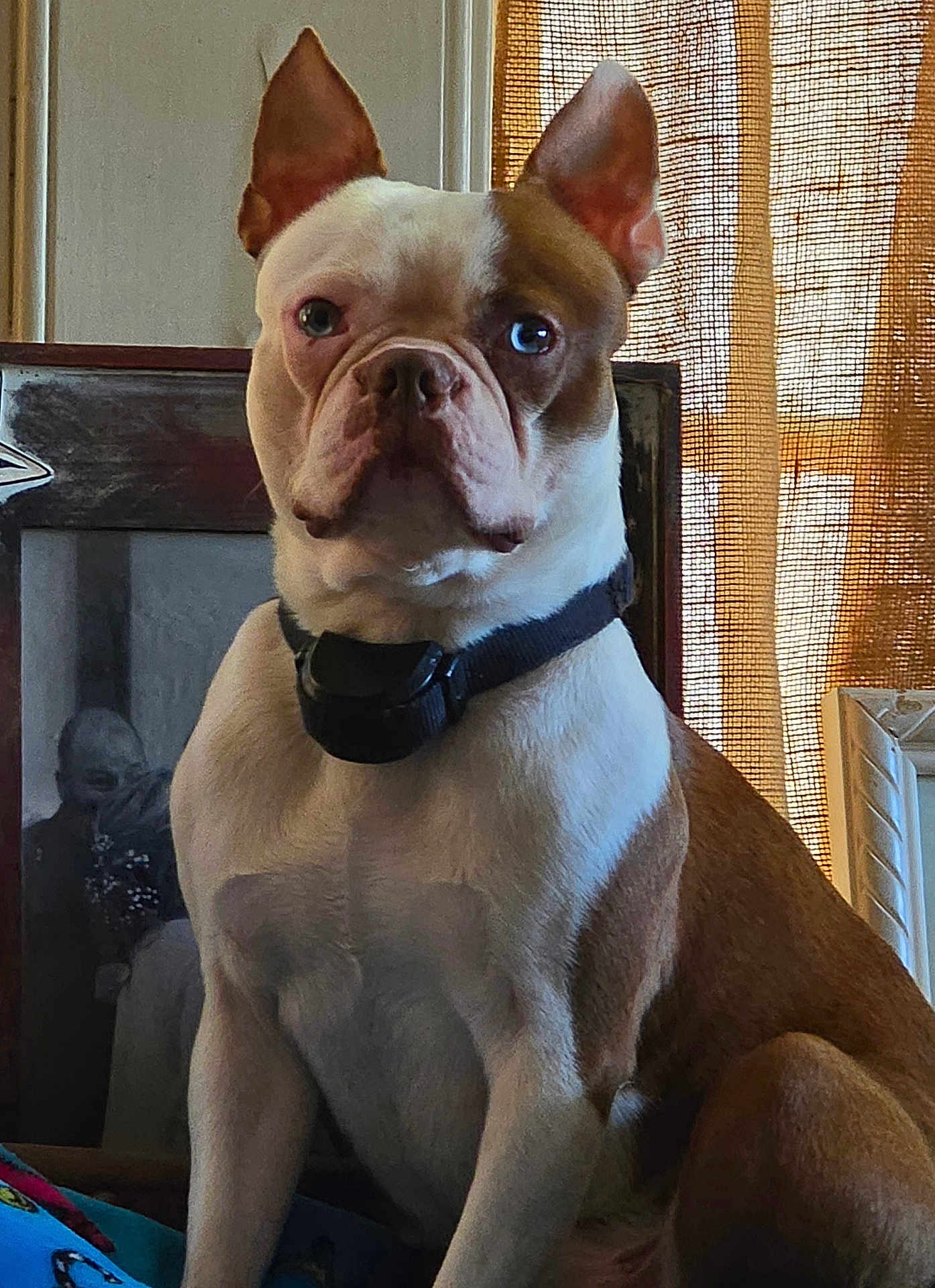 Remi