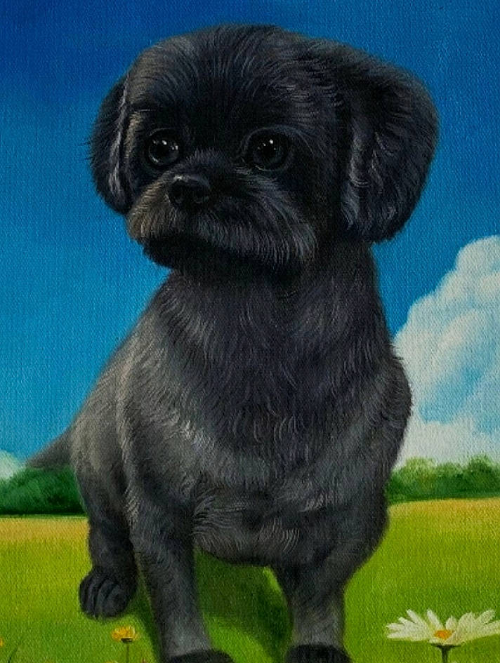 Bobo joined the competition — help win amazing prizes! ancient_dog_breeds, canidae, carnivore, cloud, companion_dog, dog, dog_breed, fawn, fur, grass, liver, non_sporting_group, plant, pug, sky, snout, sporting_group, terrestrial_animal, toy_dog, working_animal