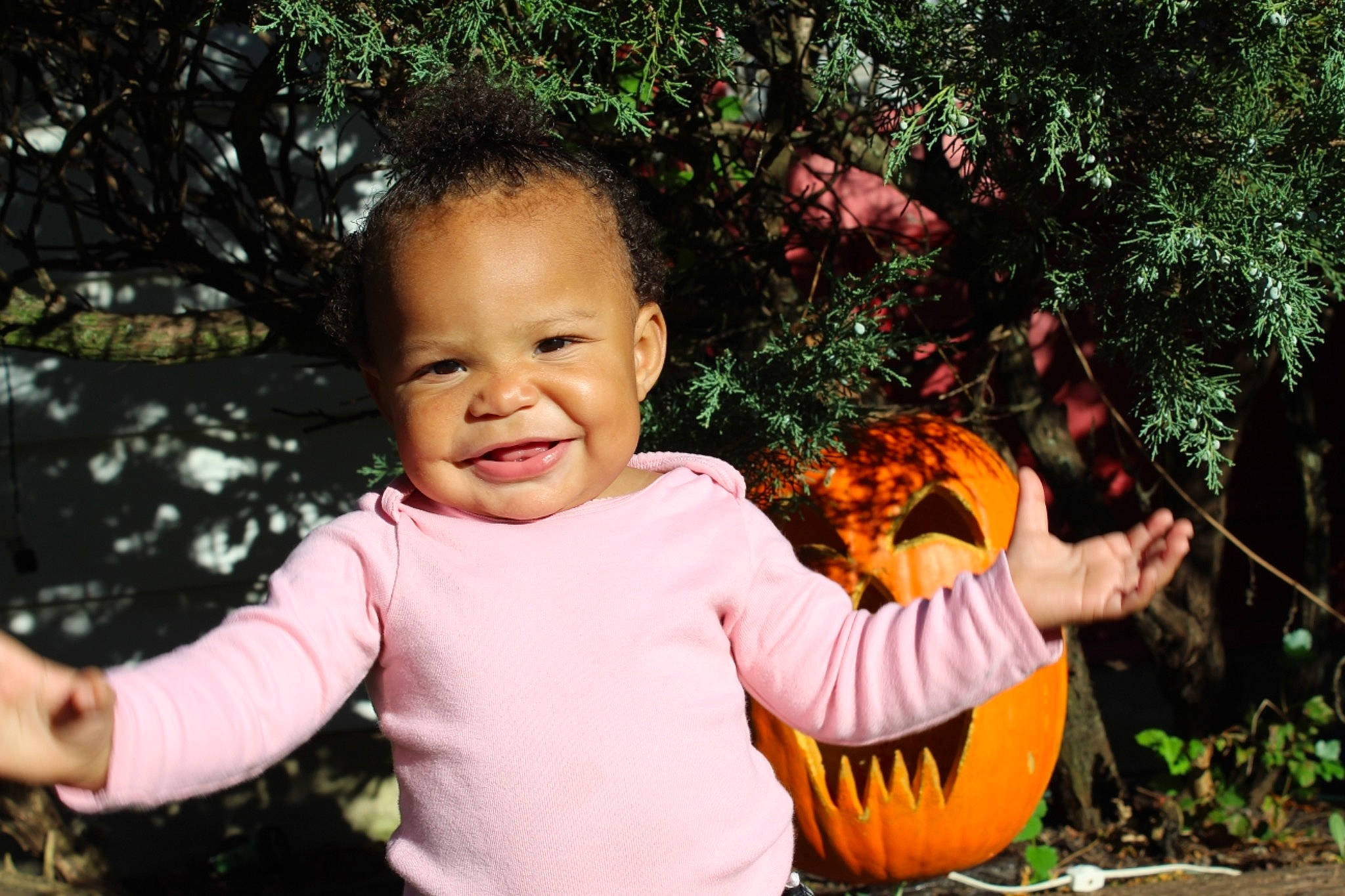 Lola joined the competition — help win amazing prizes! baby, botany, cheek, child, child_model, finger, fun, grass, happy, joy, leaf, person, photography, plant, play, portrait_photography, smile, toddler, tree