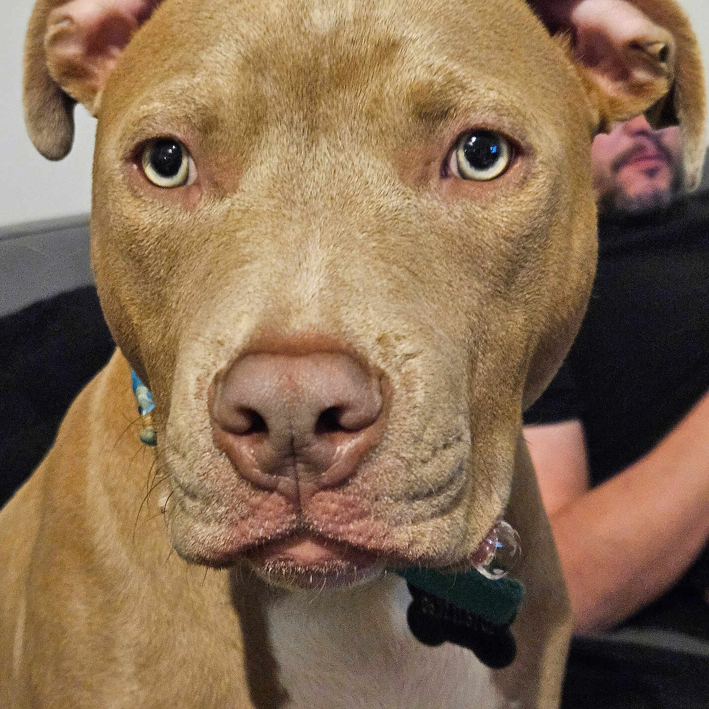 Zeus