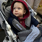Maho participe au concours pour gagner de l'argent avec cette photo : baby, child, stroller, hood, maroon, gray, blanket, outdoor, curious, seatbelt, clothing, person, infant, portrait, warm, soft_lighting, young_child, face, blue_eyes, casual
