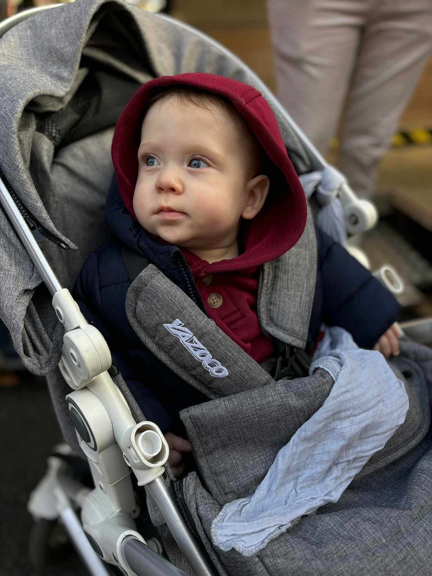 Maho participe au concours pour gagner de l'argent avec cette photo : baby, child, stroller, hood, maroon, gray, blanket, outdoor, curious, seatbelt, clothing, person, infant, portrait, warm, soft_lighting, young_child, face, blue_eyes, casual