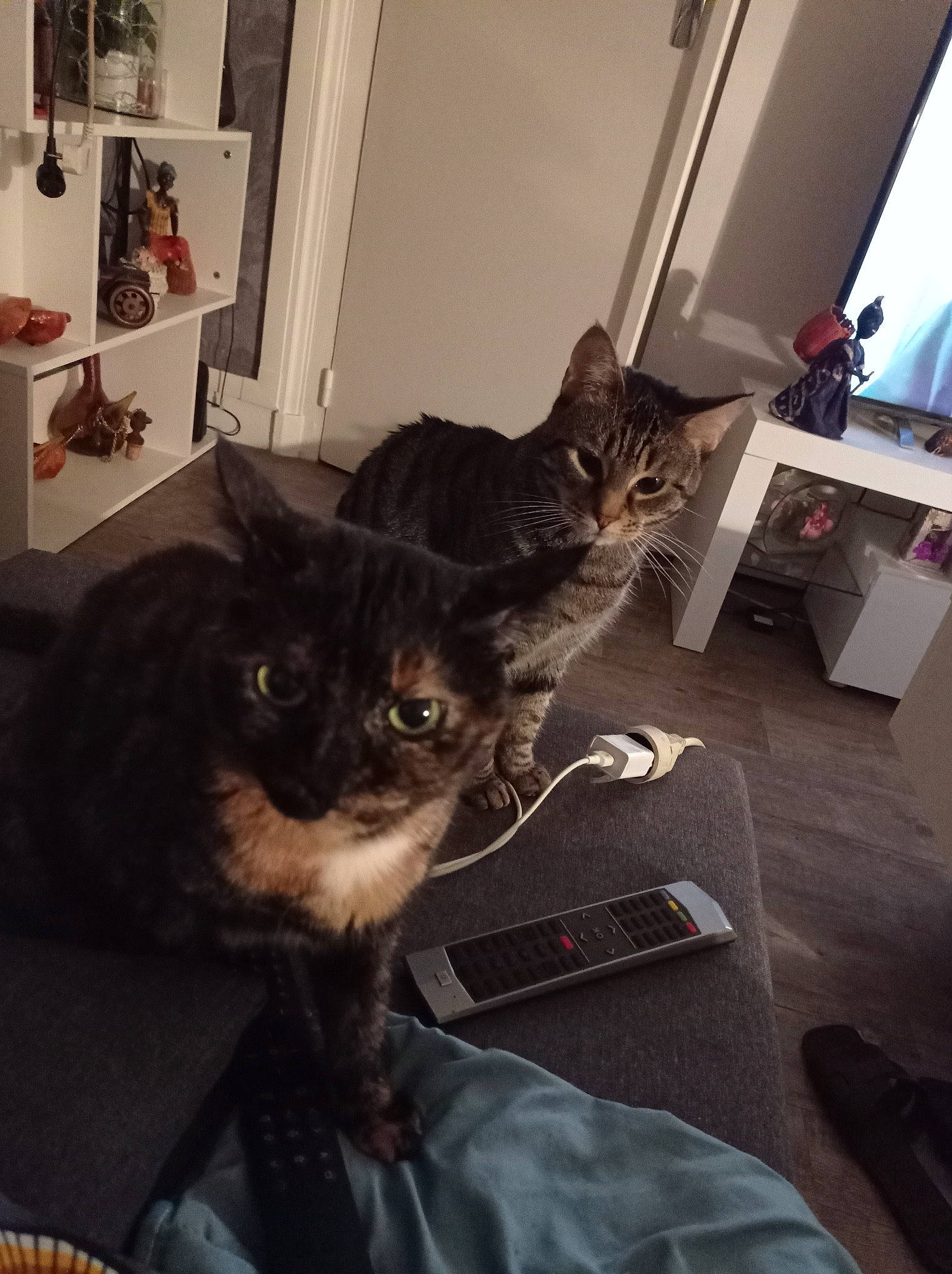 Kaline Et Holly