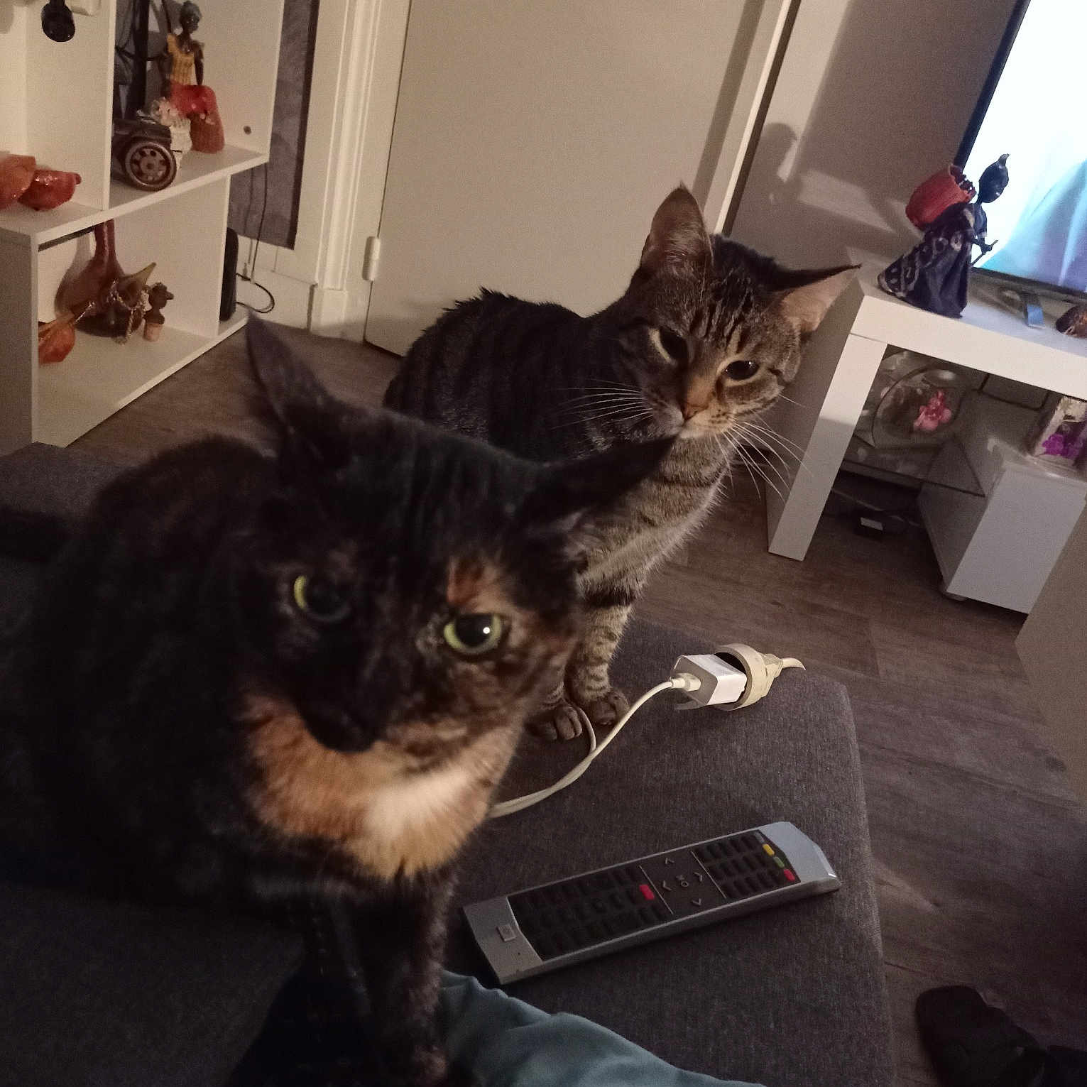 Kaline Et Holly