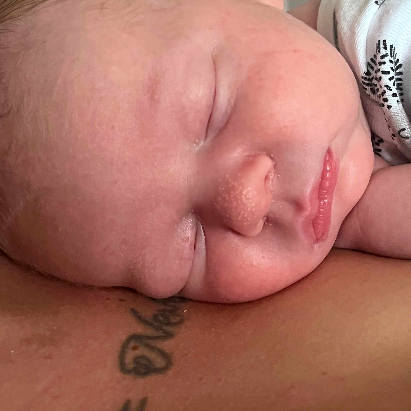 Rurik is registered to the contest to win money with this photo: baby, child, closeup, comfort, cuddle, ear, face, head, human, infant, love, mouth, newborn, parent, peaceful, person, rest, skin, sleeping, tattoo