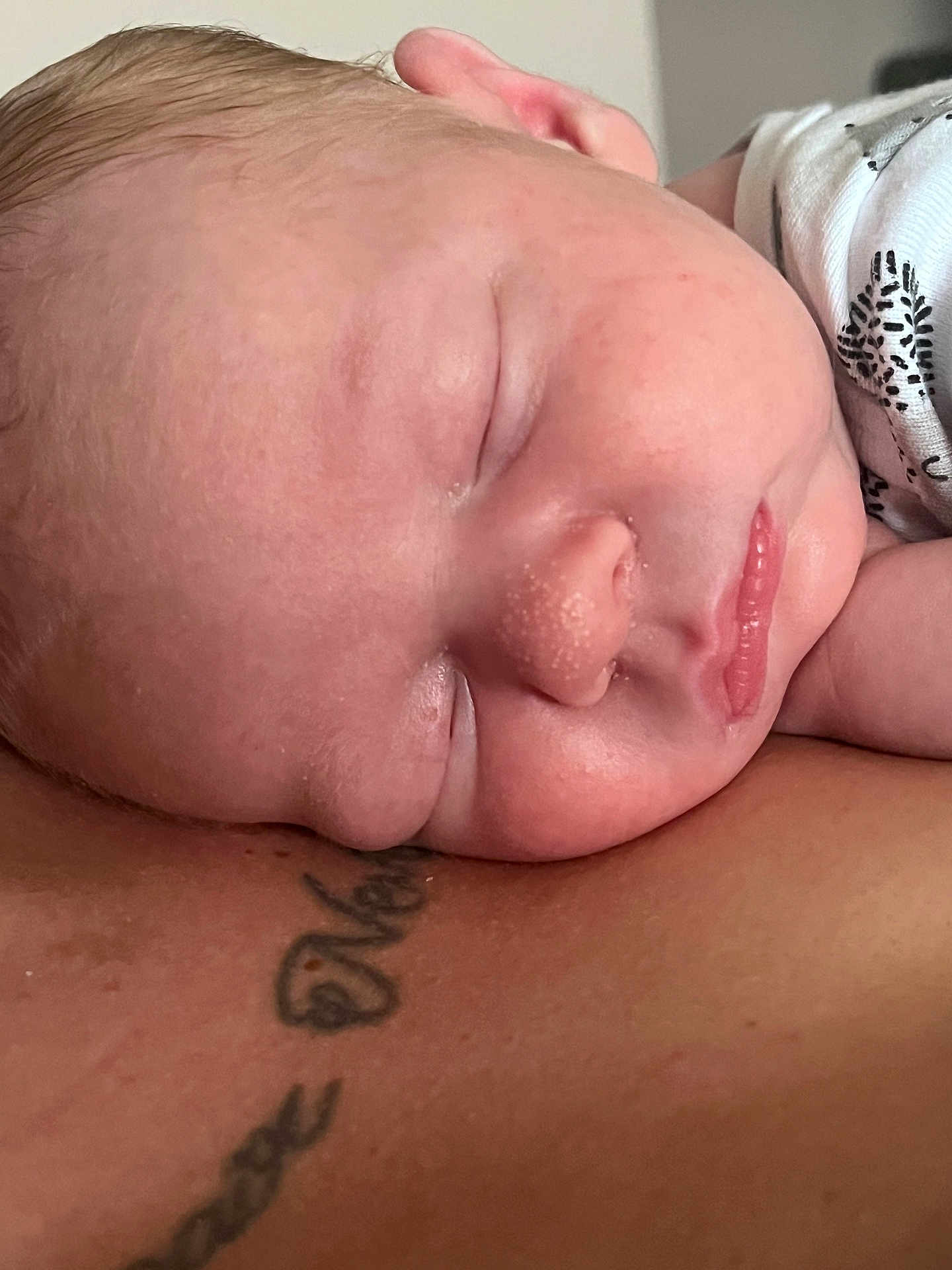 Rurik is registered to the contest to win money with this photo: newborn, baby, sleeping, face, skin, tattoo, closeup, infant, peaceful, person, human, rest, comfort, cuddle, love, parent, child, head, mouth, ear
