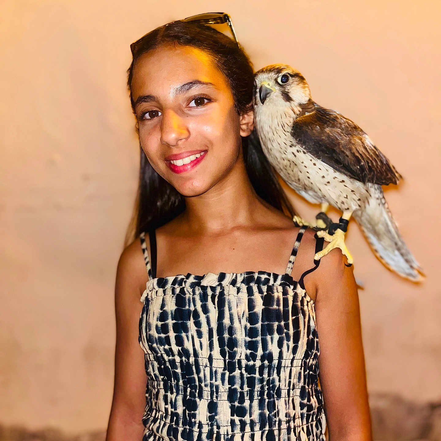 Chaïnez a rejoint le concours — aidez-le/la à gagner de superbes lots ! animal, bird, child, closeup, dress, evening, falcon, feathers, girl, happy, nature, outdoor, patterned_clothing, person, pet, portrait, shoulder, smile, wildlife, young