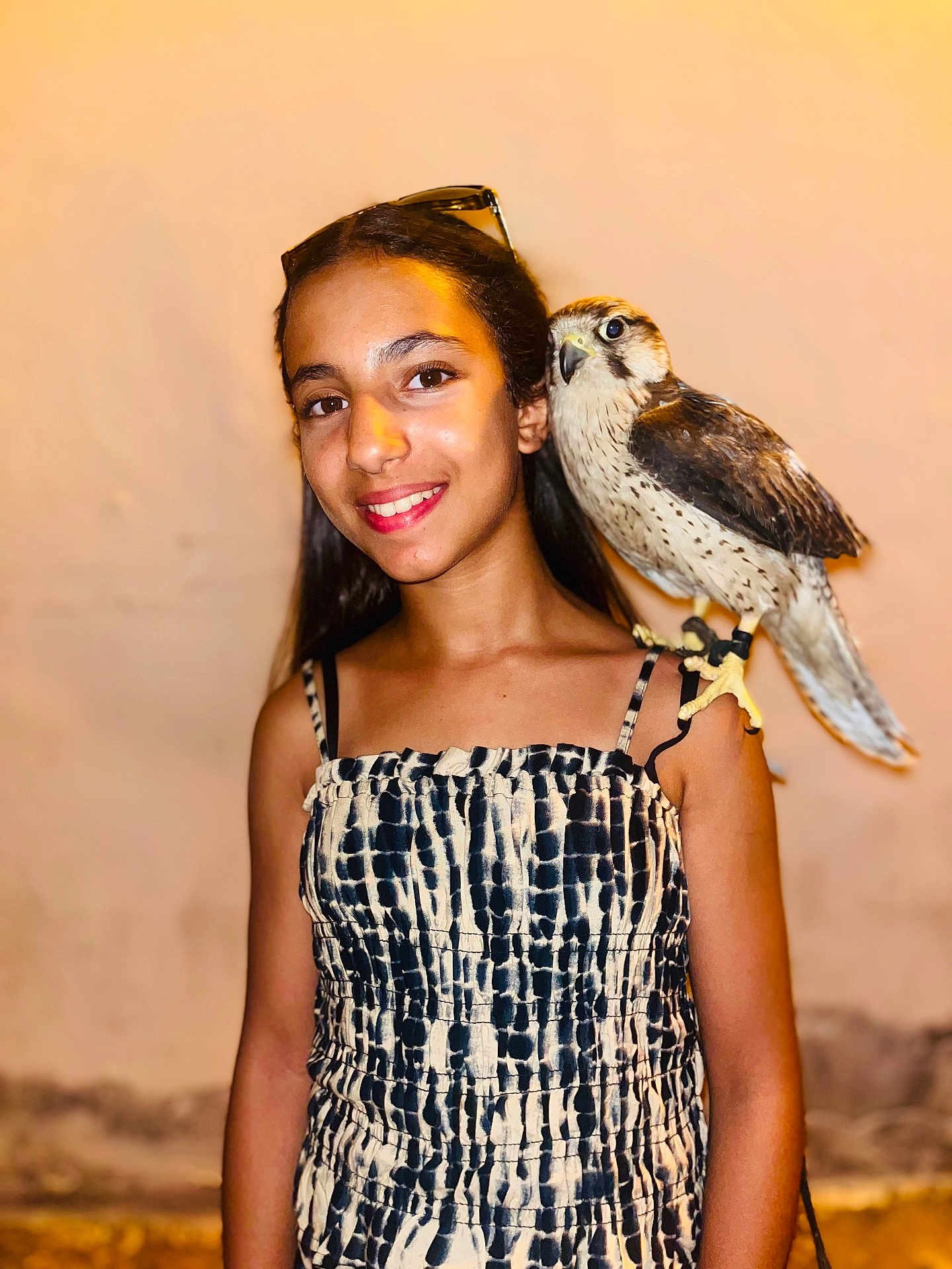 Chaïnez a rejoint le concours — aidez-le/la à gagner de superbes lots ! girl, child, bird, falcon, animal, smile, portrait, shoulder, outdoor, evening, dress, patterned_clothing, young, person, nature, wildlife, pet, feathers, happy, closeup